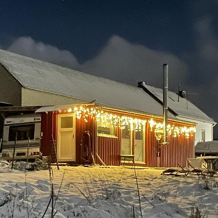 Tiny House Anneliese Hunde Okay Villa Oberbettingen Luaran gambar